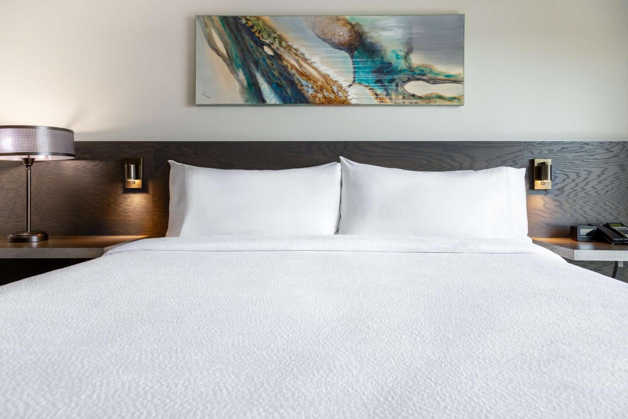 Hilton Garden Inn פרדריקטון מראה חיצוני תמונה